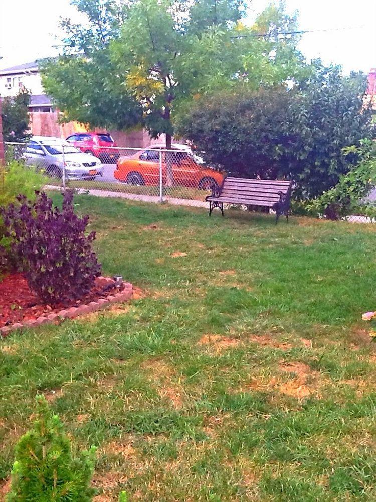 Jfk Bed And Breakfast Guesthouse نيو يورك المظهر الخارجي الصورة