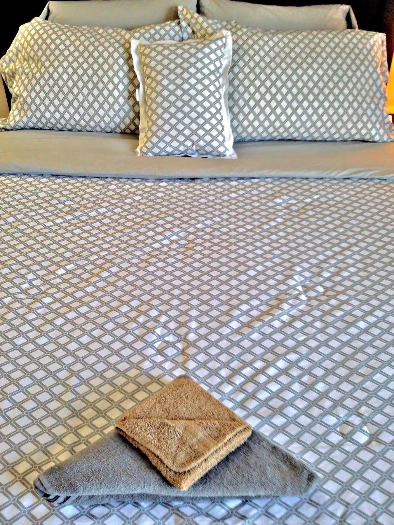 Jfk Bed And Breakfast Guesthouse نيو يورك المظهر الخارجي الصورة