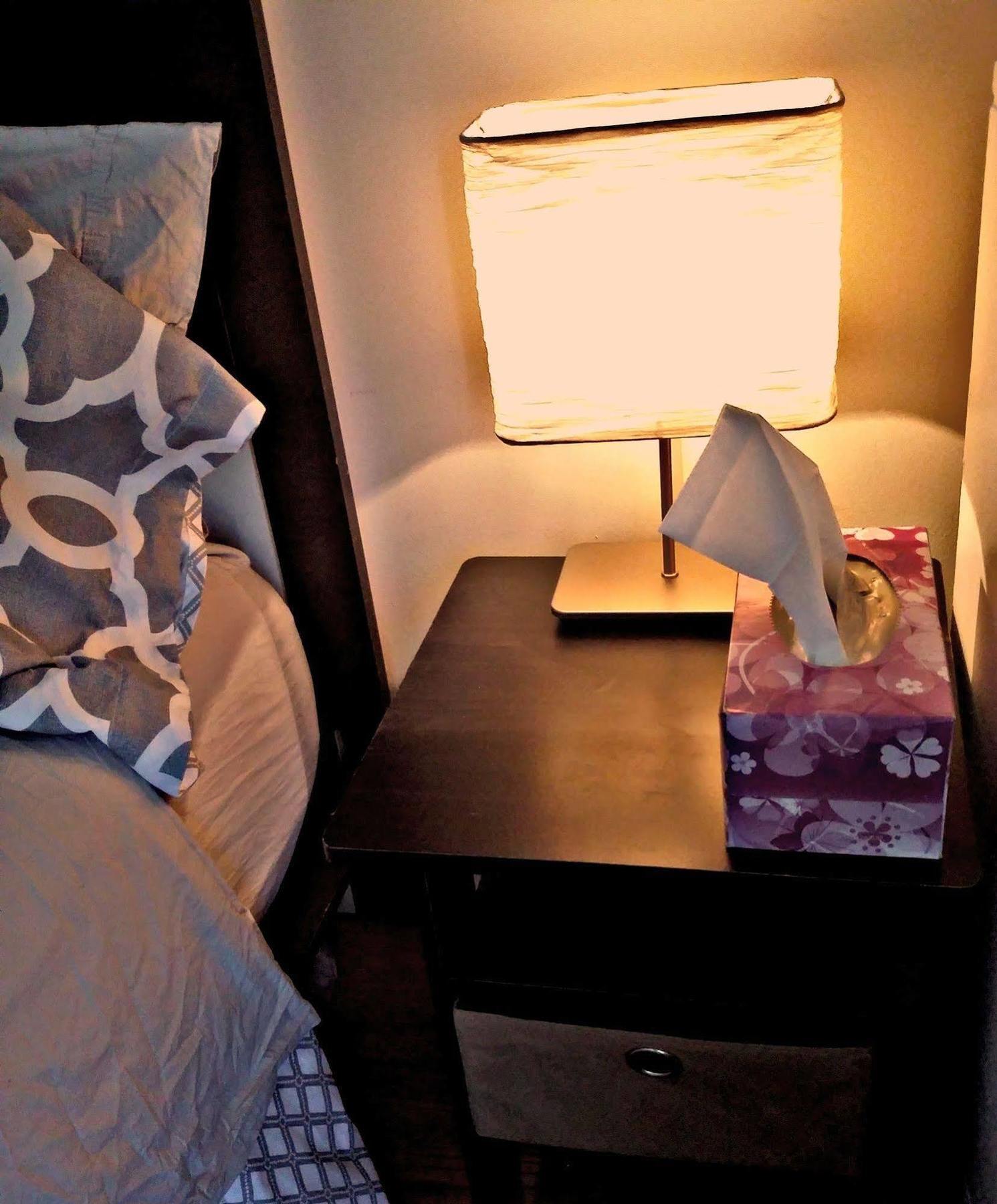 Jfk Bed And Breakfast Guesthouse نيو يورك المظهر الخارجي الصورة